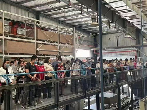 黃石浩天家裝 索菲亞4.0智能工廠行現(xiàn)場圓滿結(jié)束